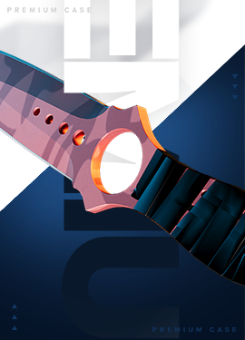 BRR BRR cs2-drop.com  csgo_skins case art